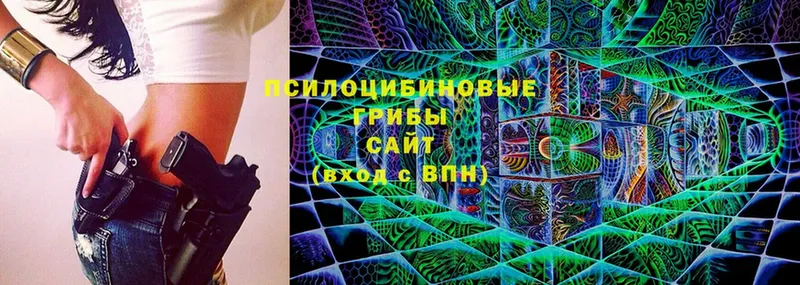 OMG онион  Полысаево  Галлюциногенные грибы Cubensis 